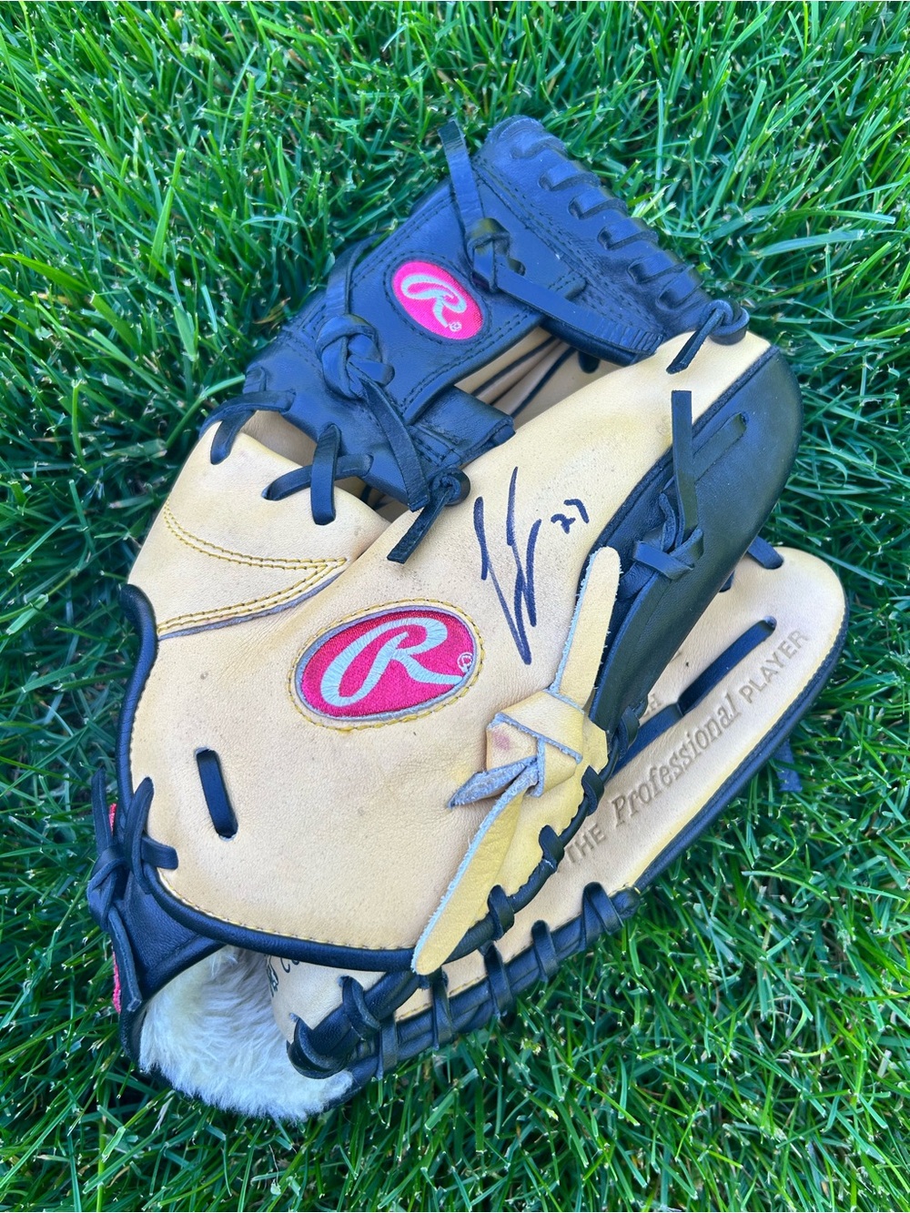 Rawlings Gold Glove Series GGPNP3-2 Left Hand Rightie Baseball Glove 11.25